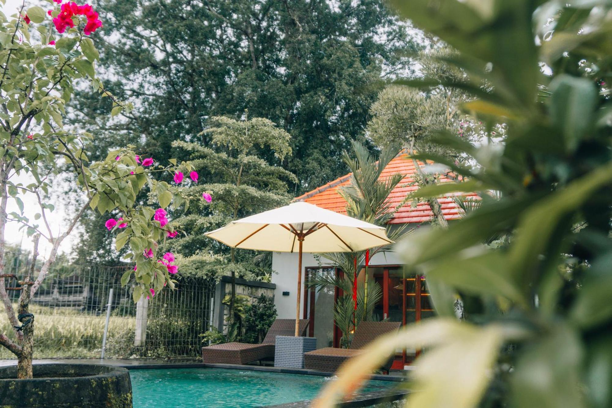 Affittacamere Senja D'ubud