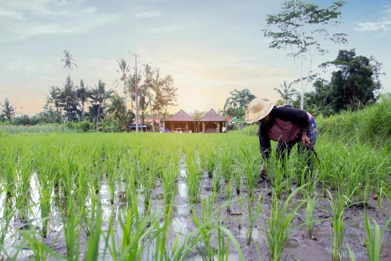 Senja D'ubud Guest house
