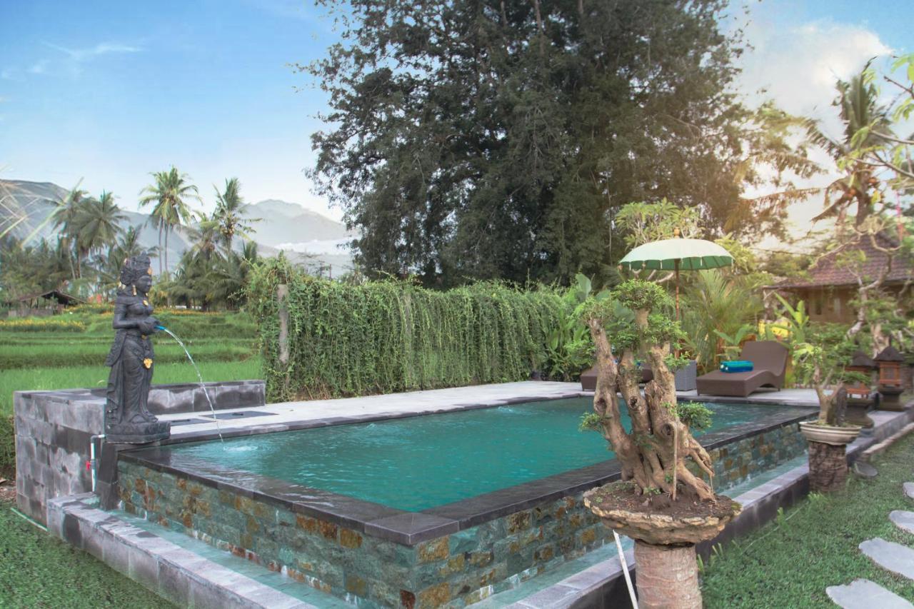 Guest house Senja D'ubud